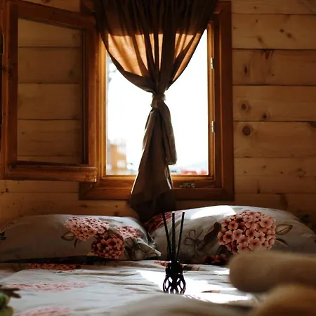Lodge Vidikovac Uvac Druzinice