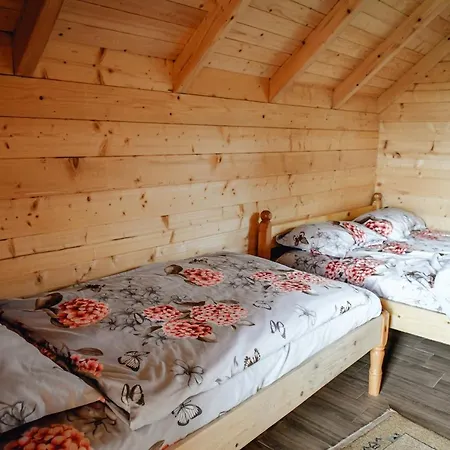 Lodge Vidikovac Uvac Druzinice