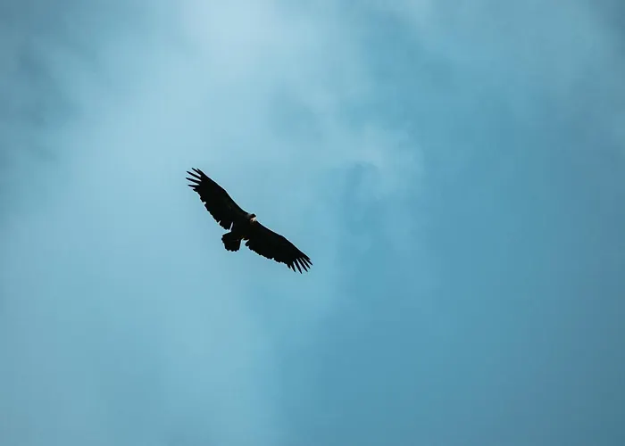 Vidikovac Uvac ロッジ Družiniće